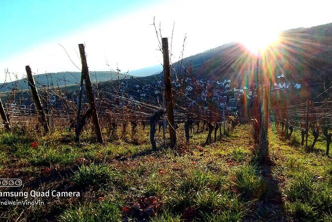 Alsace wine tour and medieval villages. Small group guided tour - FAQ
