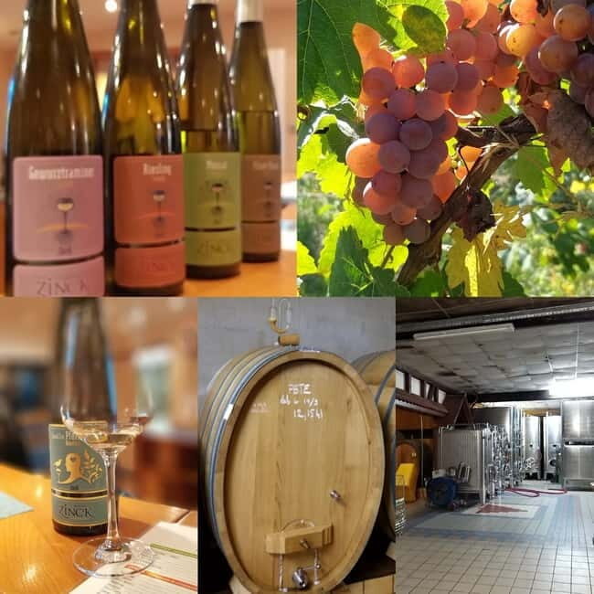 Alsace wine tour & medieval villages small group guided tour - An In-Depth Look at the Experience