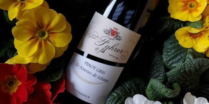 Alsace: Winery Tour and Alsatian Wine Tasting - Who Will Love This Experience?