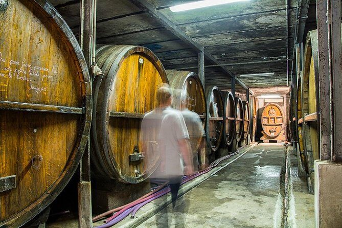Alsatian brunch with immersive cellar tour - Who Will Love This Experience?