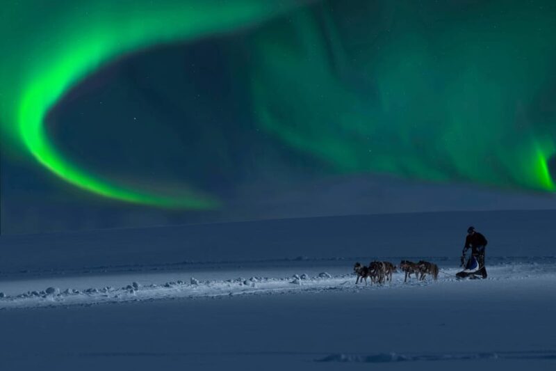 Alta: Dog Sledding Trip under the Northern Lights - FAQ