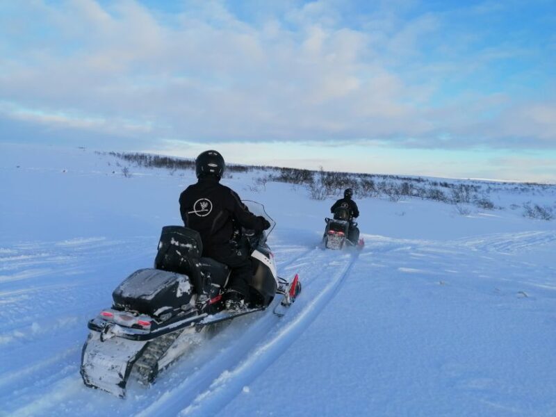Alta: Guided Snowmobile Safari on Finnmarksvidda With Snacks - An In-Depth Look at the Snowmobile Safari
