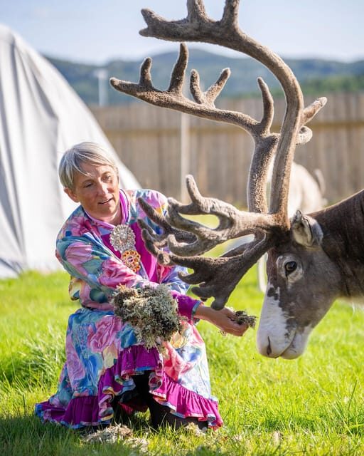 Alta: Reindeer - A carrier of Sámi Culture - Authentic Experiences as Highlighted by Reviews