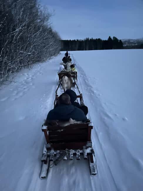 Alta: Reindeer Ride - Key Points