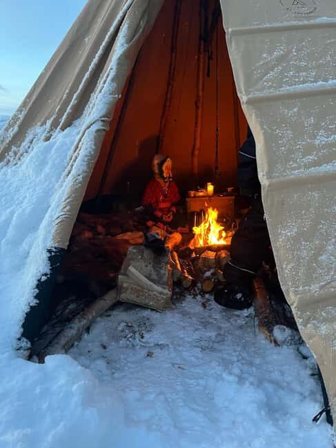 Alta: Reindeer Ride - What to Expect from Your Reindeer Ride in Alta