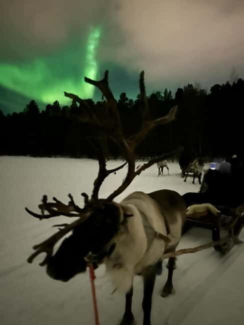 Alta: Reindeer Ride - Authenticity and Cultural Significance