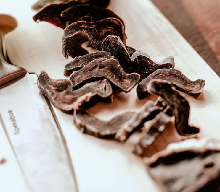 Alta: Sleigh Ride in the Arctic Countryside - An In-Depth Look at the Alta Sleigh Ride Experience