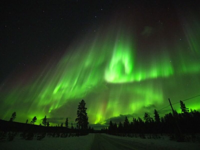 Alta: Small-Group Guided Northern Lights Tour - Key Points