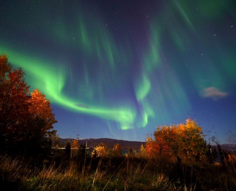 Alta: Small-Group Guided Northern Lights Tour - FAQs