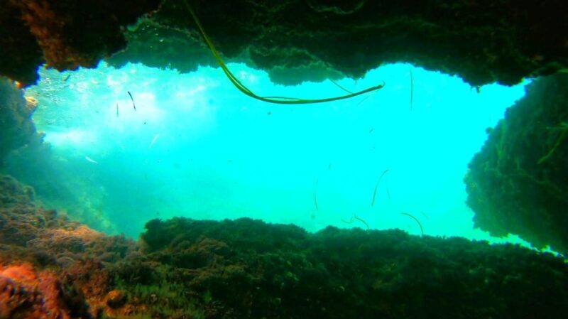 Altea: Guided Kayak Tour - Final Thoughts