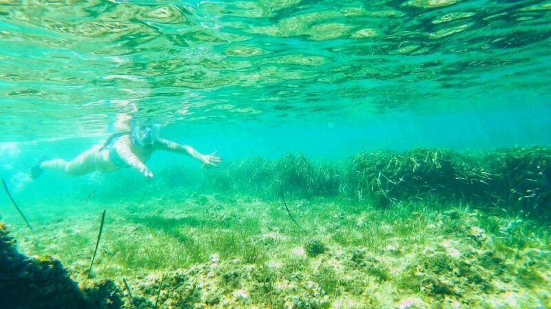 Altea: Guided Kayak Tour - FAQ