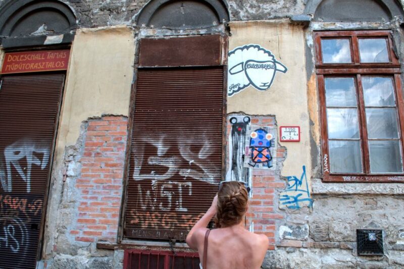 Alternative Budapest Walking Tour - A Deep Dive into the Alternative Budapest Walking Tour