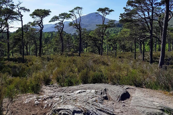 Alternative Loch Ness Tour by Secret Highlands - Authentic Insights from Reviewers