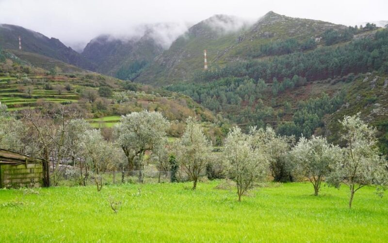 ALVÃO SHEPHERD'S HIKE - FAQ