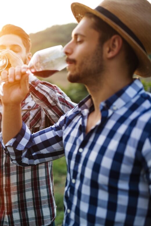 Amador County Wine Tasting Digital Passport - Key Points