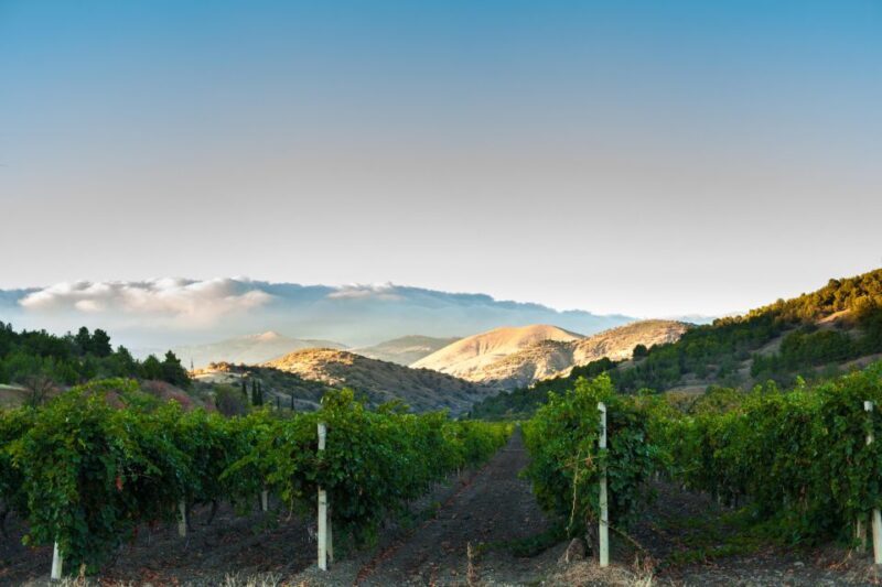 Amador County Wine Tasting Digital Passport - The Wineries You Can Visit