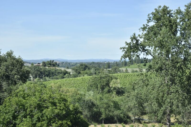 Amador County Wine Tasting Tour Private Tour 1 To 14 Group - Final Thoughts: Why Choose This Tour?