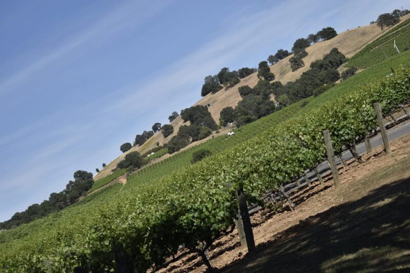 Amador County Wine Tasting Tour Private Tour 1 To 14 Group - FAQ