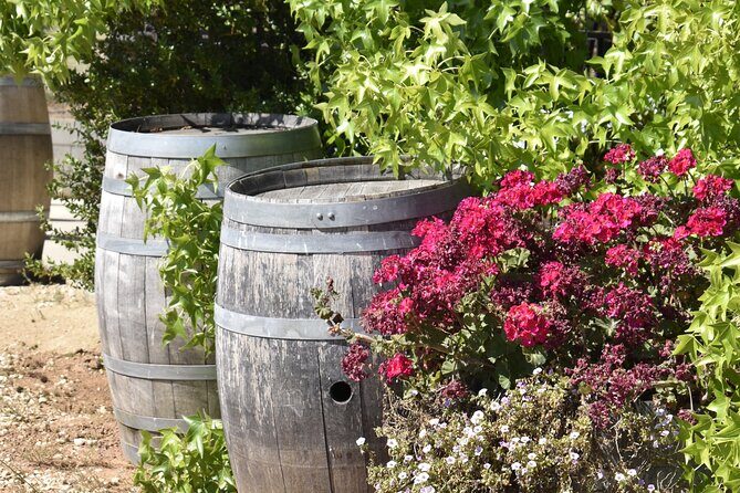 Amador County Wine Tasting Tours max 14 pax Private Wine Tours - Who Would Love This Tour?