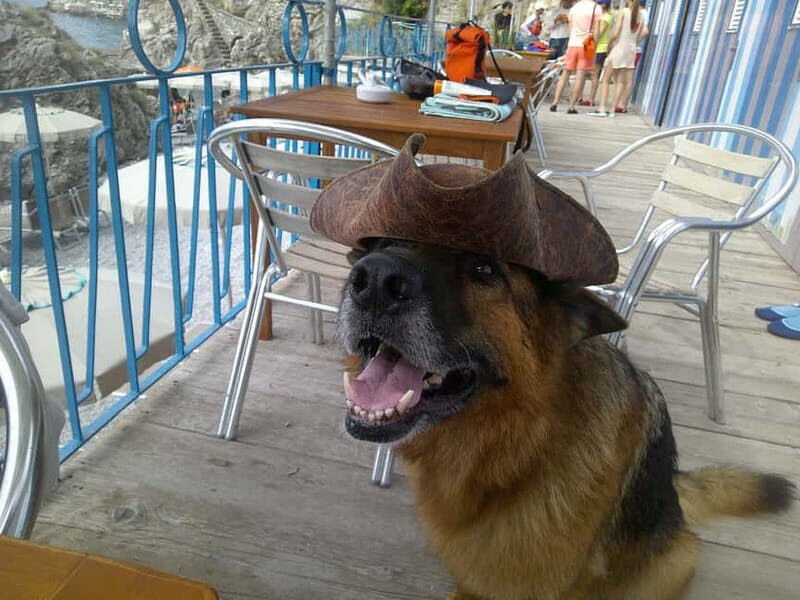 Amalfi Coast: Caves & Hidden Beach Kayak & Snorkeling Tour - Who Should Consider This?