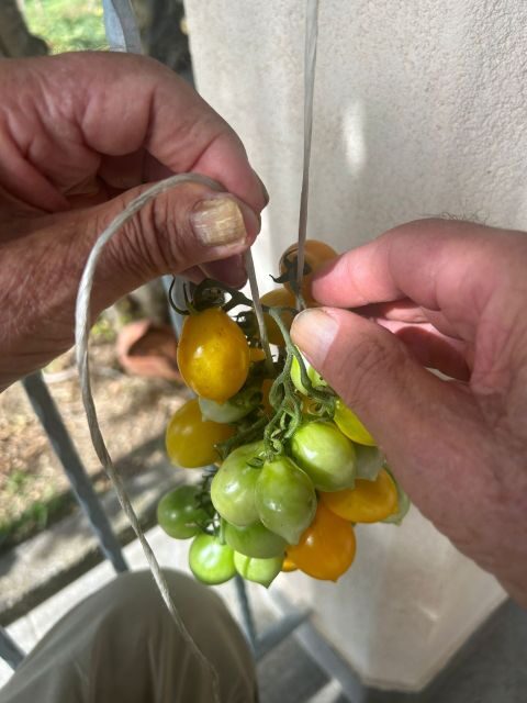 Amalfi Coast: Italian Dinner in Acampora's Farm - FAQ