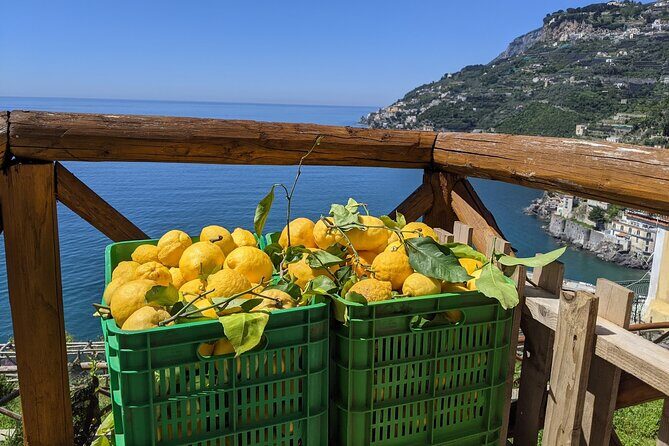 Amalfi Coast - Maiori: Path of Lemons Tour with Tasting - Why Choose This Tour?