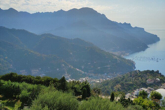 Amalfi Coast Vintage Tour with oil tasting in Ravello - An In-Depth Look at the Amalfi Coast Vintage Tour