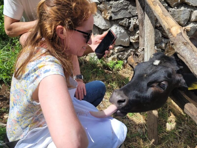 Amalfi: Make tagliatelle, mozzarella and tiramisù - The Itinerary in Detail