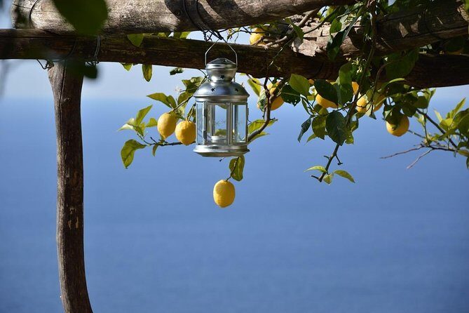 Amalfi Ravello Positano Tour - The Itinerary: What You Can Expect