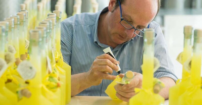 Amalfi: Vertical Lemon Farm Tour, Tastings, and Rural Museum - The Experience in Detail