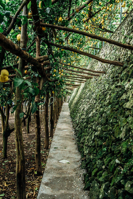 Amalfi: Vertical Lemon Farm Tour, Tastings, and Rural Museum - FAQ