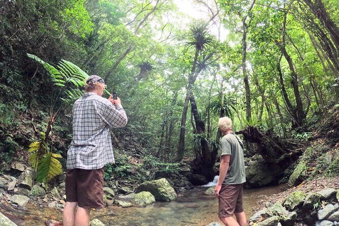 Amami Oshima Mangrove Kayaking, Waterfall and Cape Walking Tour - Key Points