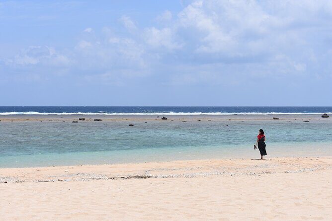 Amami Oshima Mangrove Kayaking, Waterfall and Cape Walking Tour - The Itinerary in Detail