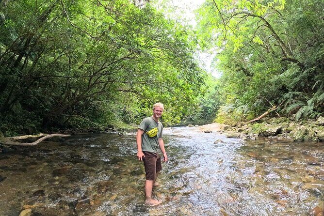 Amami Oshima Mangrove Kayaking, Waterfall and Cape Walking Tour - Who Is This Tour Best Suited For?