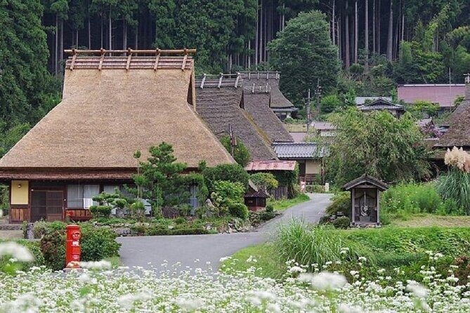 Amanohashidate and Miyama Kayabuki no Sato 1 Day Tour from Osaka - Who Would Love This Tour?