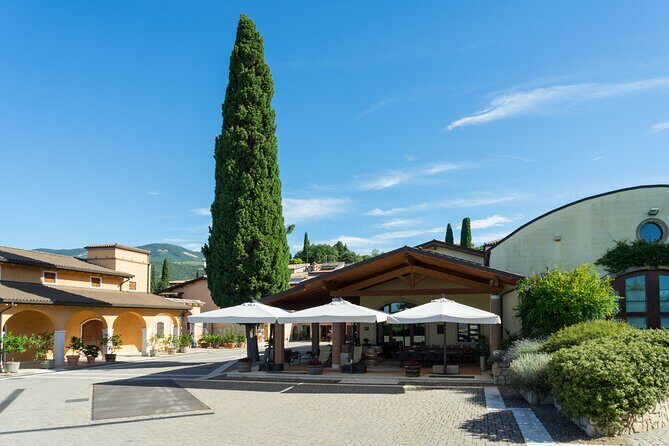 Amarone 2005 Wine Experience - An In-Depth Look at the Amarone 2005 Wine Experience