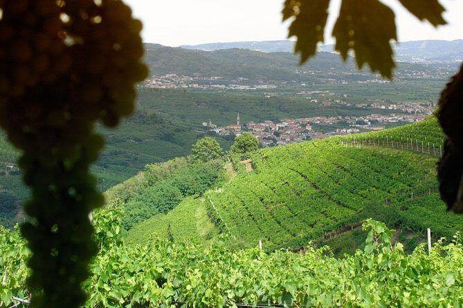 Amarone-Soave wine tour. Visit Verona. From Venice - Exploring the Itinerary: What You Can Expect