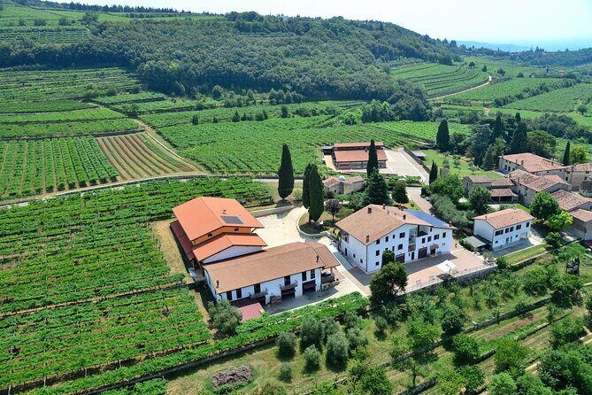 Amarone Wine Tasting from Verona - Exploring the Itinerary