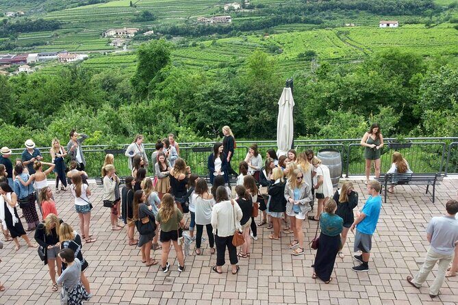 Amarone Wine Tasting from Verona - FAQ