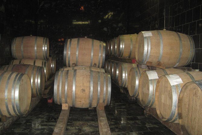 Amarone Wine Tour (all-inclusive full day with lunch and expert wine guide) - Final Thoughts: Who Will Love This Tour?