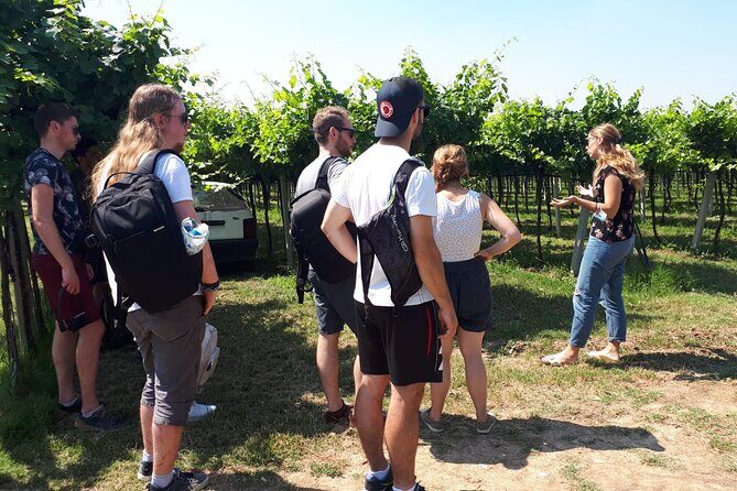 Amarone Wine Tour - Final Thoughts