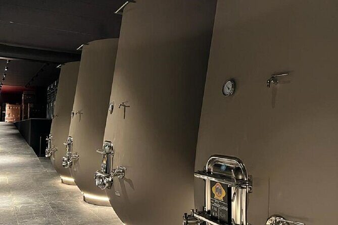 Amarone Wine Tour with 2 Wineries Lunch and Private Transfer - An In-Depth Look at the Amarone Wine Tour Experience