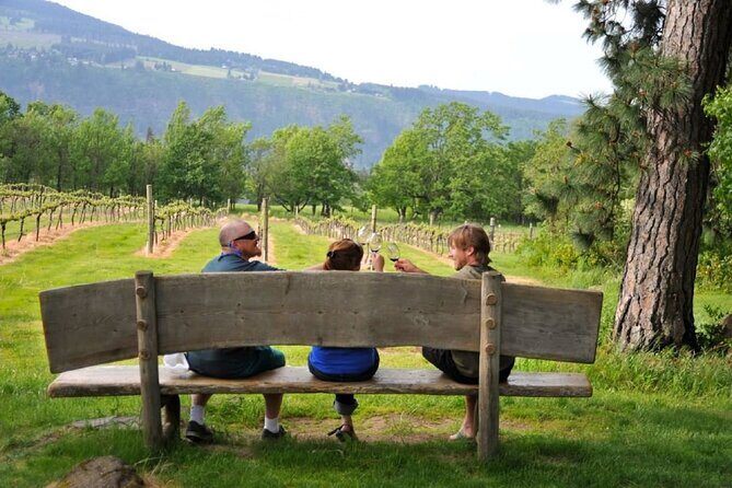 Amarone Wine Tour with 2 Wineries Lunch and Private Transfer - Authenticity and Insights from Past Travelers