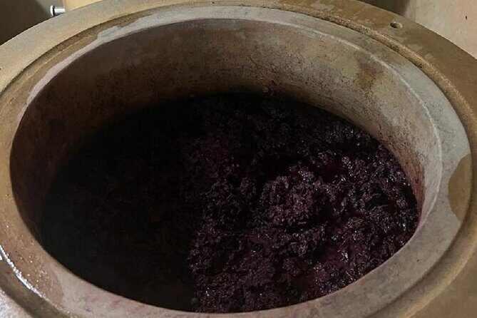 Amarone Wine Tour with 2 Wineries Lunch and Private Transfer - FAQs