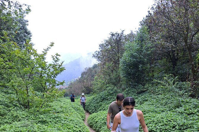 Amazing 1 Day Trekking Experience in Kathmandu Nepal - Taudaha Lake