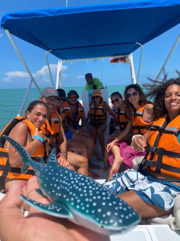 Amazing Adventure, Search and Swim with Whale Sharks on Holbox Island - Introduction to the Whale Shark Experience
