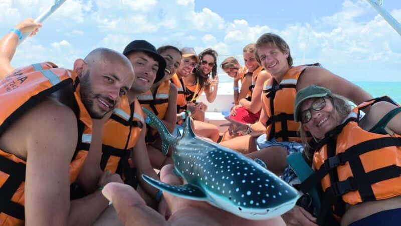 Amazing Adventure, Search and Swim with Whale Sharks on Holbox Island - Final Thoughts on the Whale Shark Tour