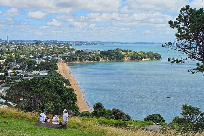 Amazing Auckland City Half Day Guided Tour - A Closer Look at the Itinerary