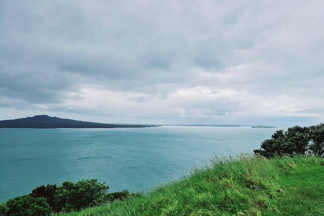 Amazing Auckland City Half Day Guided Tour - Who Will Love This Tour?