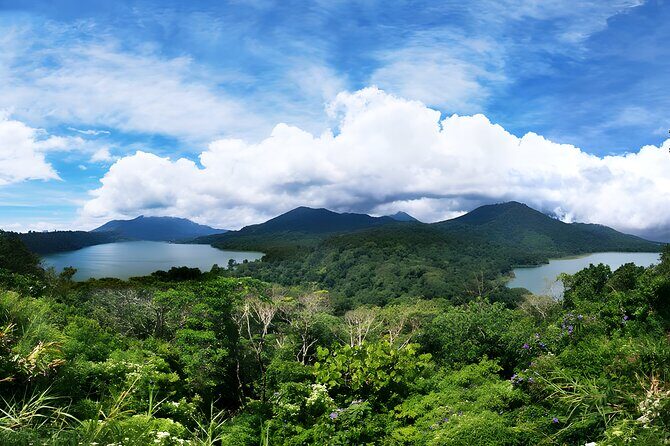 Amazing Bali Dolphin Watching Trip Experience - Transportation and Flexibility
